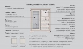 Прихожая модульная Стилиус в Карабаше - karabash.magazinmebel.ru | фото - изображение 2