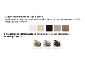 Шкаф-купе Акцент-Сим Д 1000-600 шимо светлый в Карабаше - karabash.magazinmebel.ru | фото - изображение 3